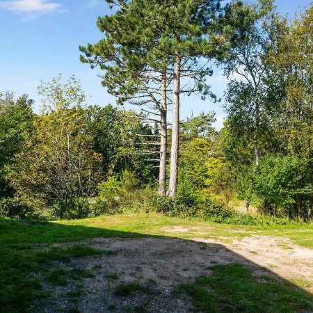 Amazing In With 3 Bedrooms And Internet *